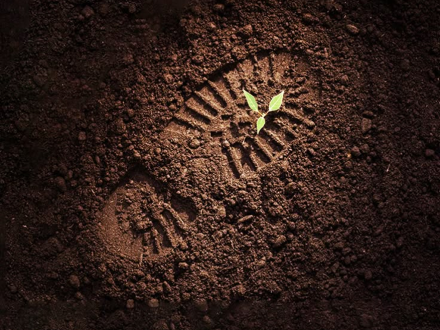 Rectangle 116 Rectangle 116