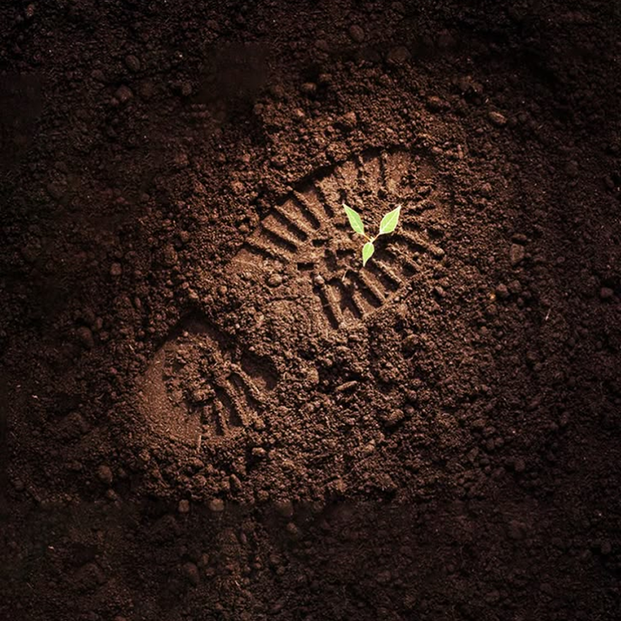 Rectangle 116 Rectangle 116