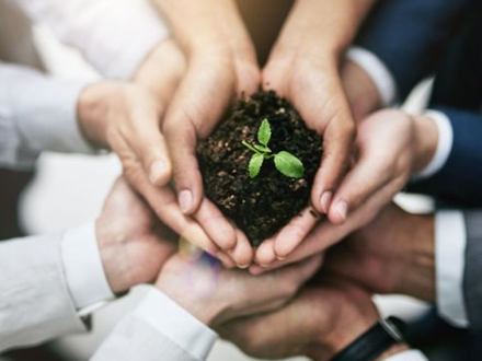 Rectangle 118 Rectangle 118